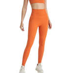 Load image into Gallery viewer, PREORDER  Adesa Leggings _ Brights
